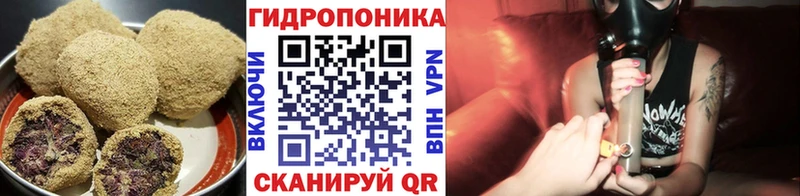 ссылка на мегу как зайти  darknet какой сайт  Еда ТГК конопля  Купино 