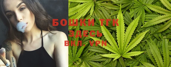 гашик Богородицк