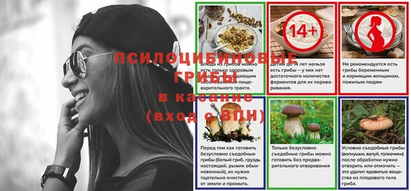 молекула духа Богородск