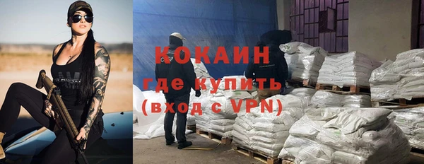 молекула духа Богородск